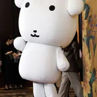 실시간 가나디 포토월