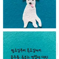 부모님이 십 년만에 부부동반 여행을 가셨다 서울에 사는 나는 나이든 개를 돌보기 위해 잠시 대전 본가로 왔다