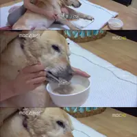훌쩍훌쩍 딱 스무 살까지 살기로 약속 했는데, 스무 살 채우고 가지