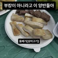 이 시국에 상어고기 먹은 사람