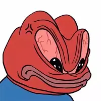 요즘 유희왕 카드, 포켓몬 카드 개ㅂㅅ 같은 거