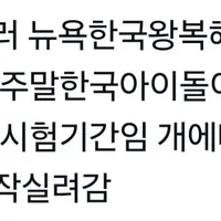 미국에서 대학 다니고있는 올데프 애니 근황