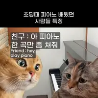 초딩때 피아노 배운 사람들 특징