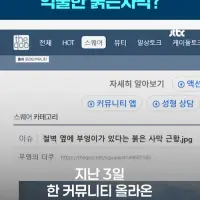 JTBC 뉴스에 나온 더쿠 (붉은사막 부엉이석상 논란)