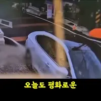 싱글벙글 레전드 악마라는 한문철TV 제보 근황