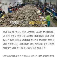 싱글벙글 기계가 도입되고 있는 굴 공장 근황