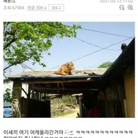 할아버지 뒷목 잡게 만든 동물 ㅋㅋㅋㅋㅋ