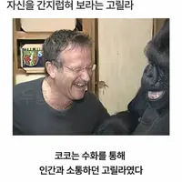 싱글벙글 수화를 배운 고릴라.