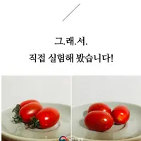 방울토마토는 꼭지를 떼면 더 오래 보관할 수 있다는거 몇살에 알게됐어?